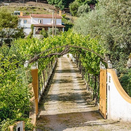 Lousã Magnolias Cottage المظهر الخارجي الصورة