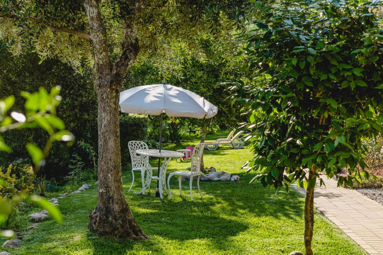 Lousã Magnolias Cottage المظهر الخارجي الصورة